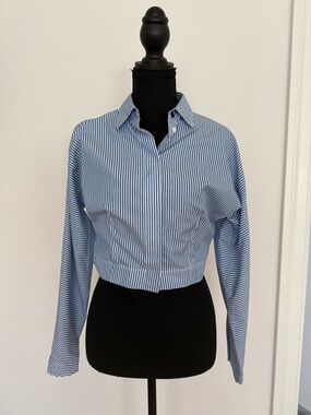 rag & bone Blue and White Striped Cropped Button-Down Shirt